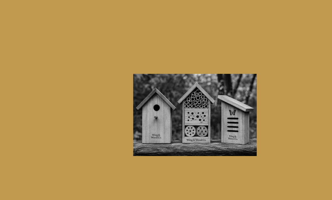 image of wing & wood co. bird butterfly and bee houses