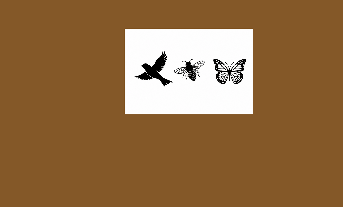 image of a bird a bee and a butterfly