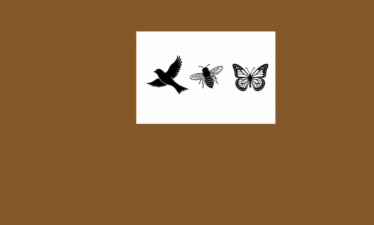 image of a bird a bee and a butterfly