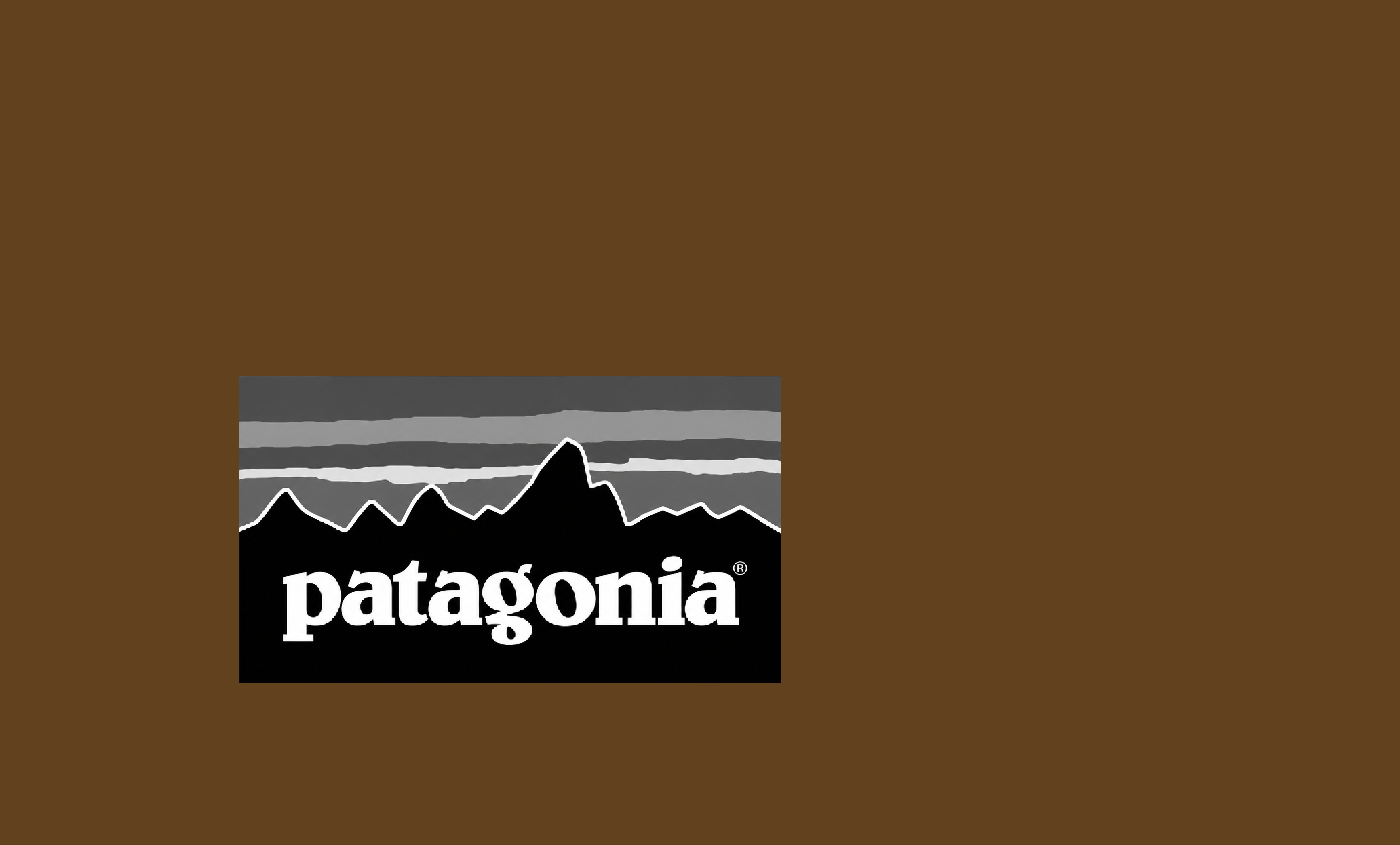 patagonia logo